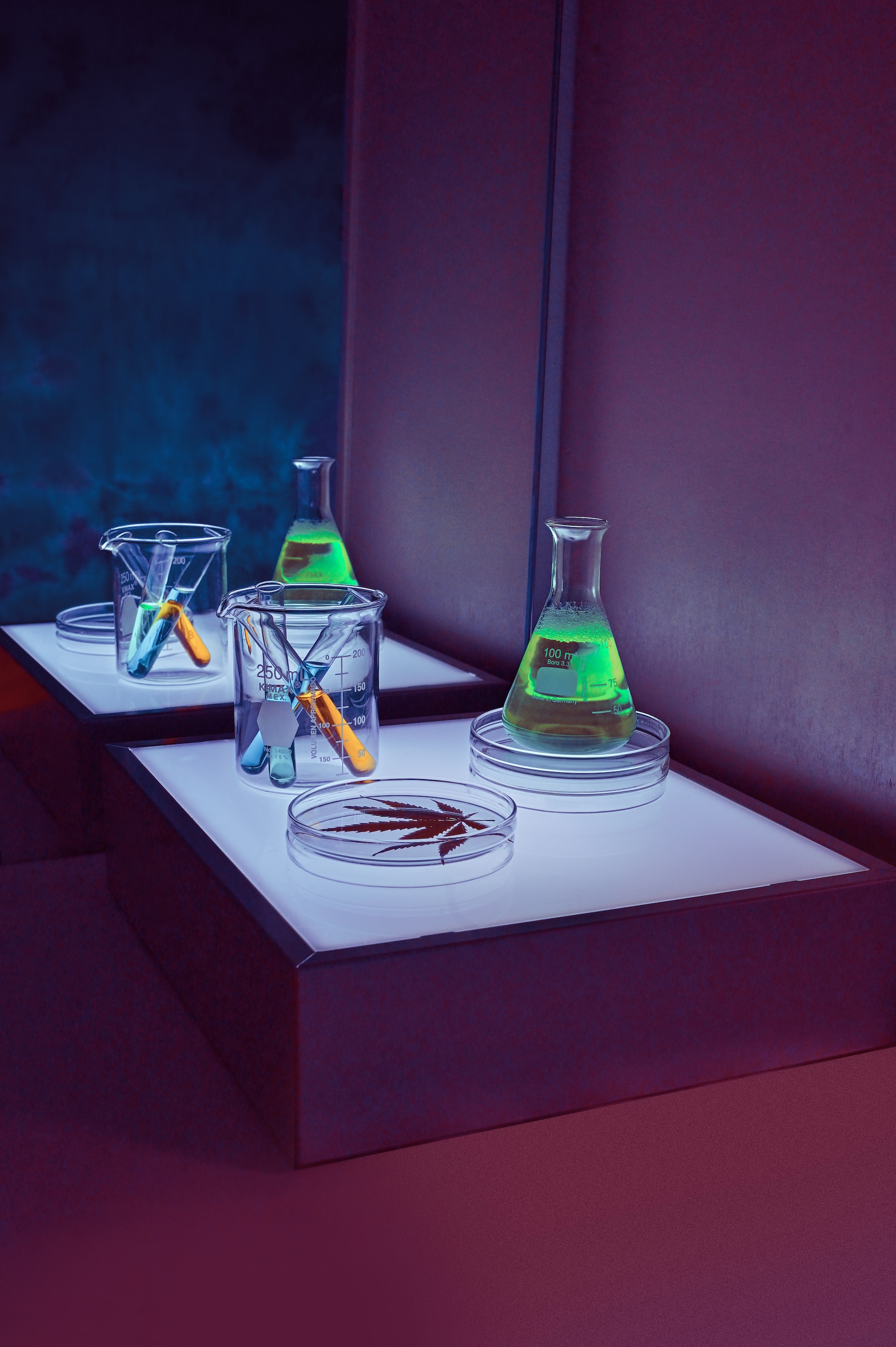 glass test tube bottles on a dimly lit table